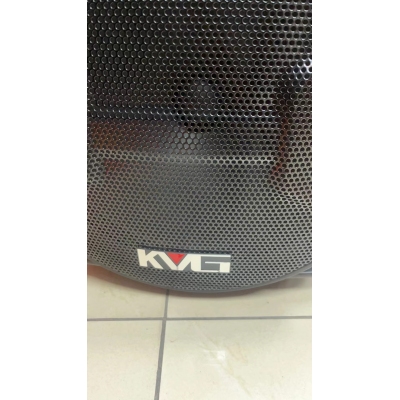 紅日A12-65戶(hù)外12寸廣場(chǎng)舞門(mén)店拉桿音響移動(dòng)藍(lán)牙插卡音箱